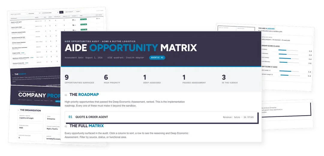 AIDE Opportunities Audit — sample deliverable