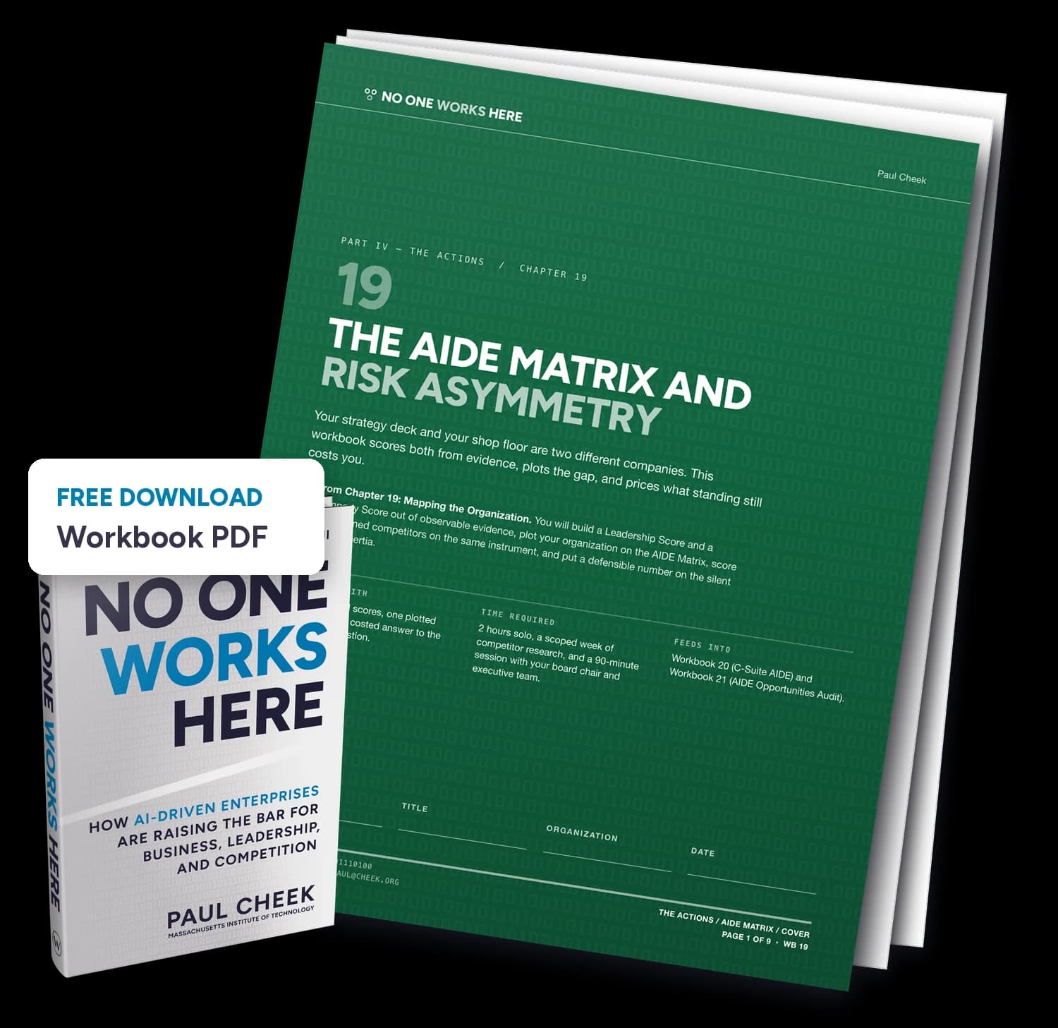 The AIDE Matrix and Risk Asymmetry — Workbook — free PDF download