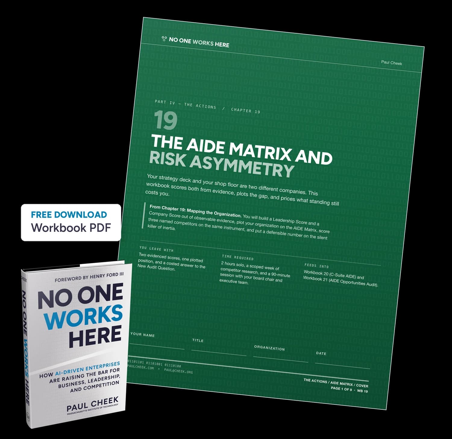 The AIDE Matrix and Risk Asymmetry — Workbook — free PDF download