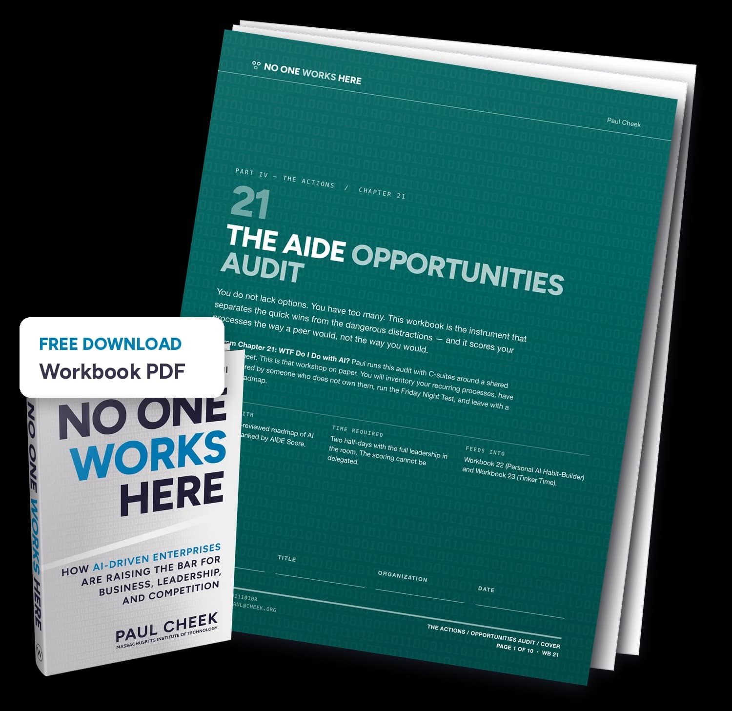 The AIDE Opportunities Audit — Workbook — free PDF download