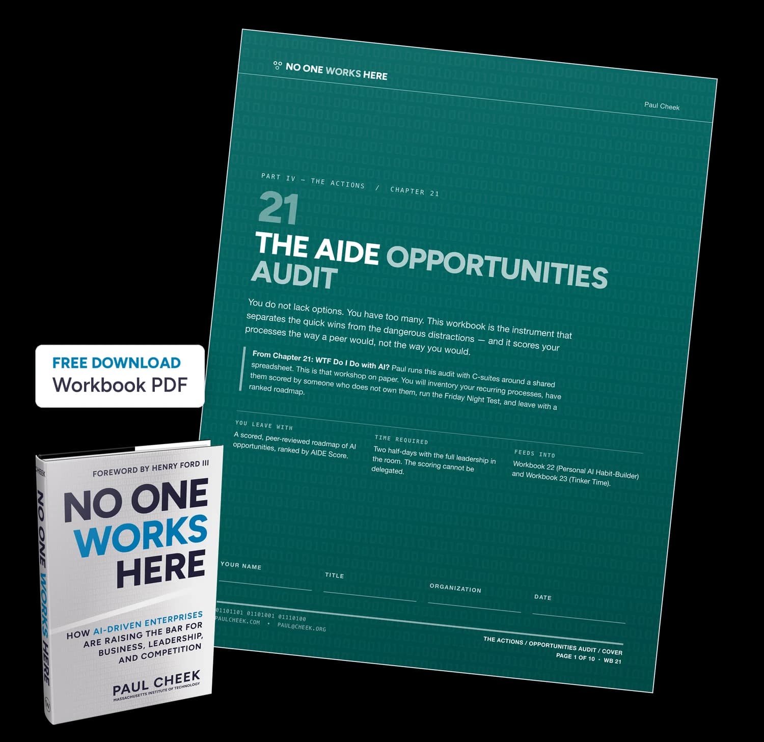 The AIDE Opportunities Audit — Workbook — free PDF download